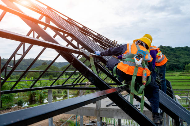 Roof Gutter Cleaning in Shawnee, KS