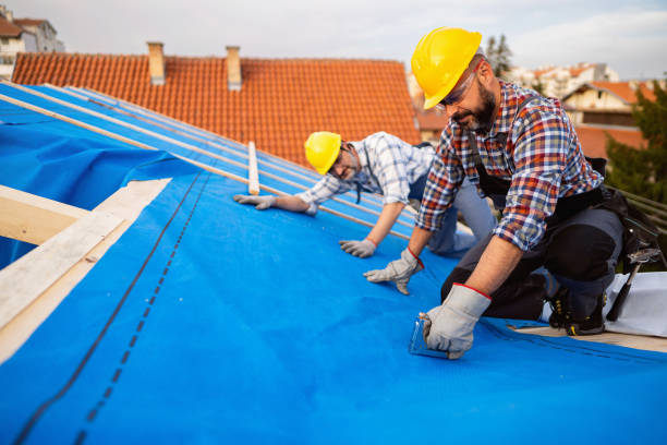 Best Metal Roofing Contractor  in Shawnee, KS
