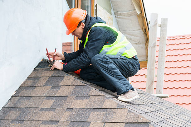 Best Roof Gutter Cleaning  in Shawnee, KS